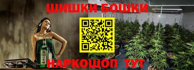 гашик Малоярославец